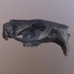 3D