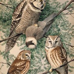 fuertes-plate55.jpg