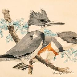 fuertes-plate58.jpg