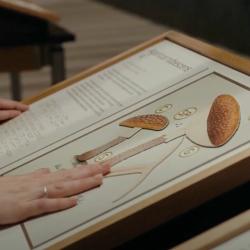 Hand touching a mushroom in relief on a panel
