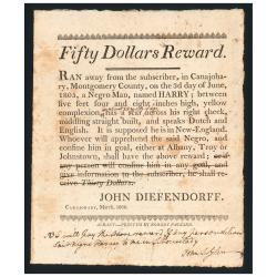 This printed notice offers money for the capture and return of a runaway enslaved person..