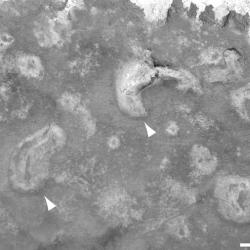 Satellite Image