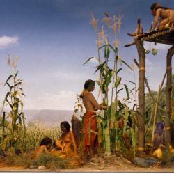 native peoples 3 sisters diorama