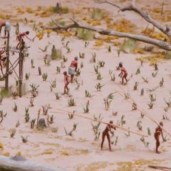 Haudenosaunee Village Model - Farming
