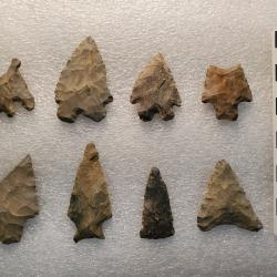 Here are some examples of Native American projectile points in the recently donated McVaugh collection. 