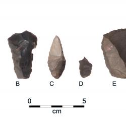 Examples of Paleoindian artifacts from the OPS site. A: fluted point with impact fracture; B: Endscraper, hafted tool likely used for hide working for skin clothing manufacture; C: Hafted perforator for working bone or wood; D: Graver, delicate hand-held 