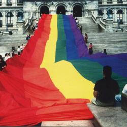 Rainbow Banner on the NYS Capitol Steps