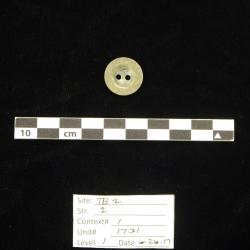 Several shell buttons were also recovered from the Ten Broeck Mansion outer kitchen excavation; this one shown has two holes
