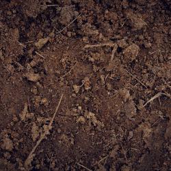 closeup soil 