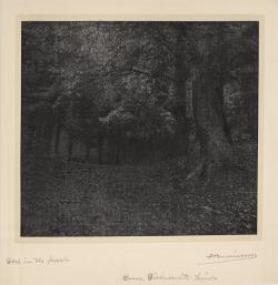 Horatio Hendrickson, Deep in the Forest