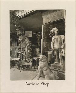 Antique Shop (Sumner Healy Antique Shop) 