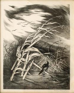 Cornstalks by Jenne Magafan, 1942