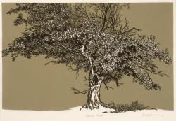 Untitled (Tree)