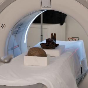 Unlocking Perhistoric Secrets With 21st Century Tools