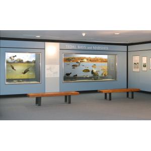 Tidal Bays and Marshes Exhibit 
