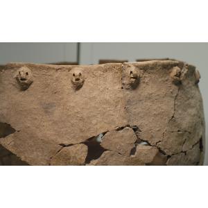 Detail of Suffern Rockshelter pot