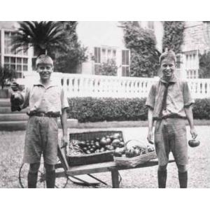 Volunteer at the Roosevelt Home Garden!