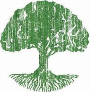 New York National Visitation Input Needed