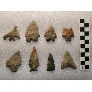 The McVaugh Donation: Insights on Hudson Valley Indigenous History