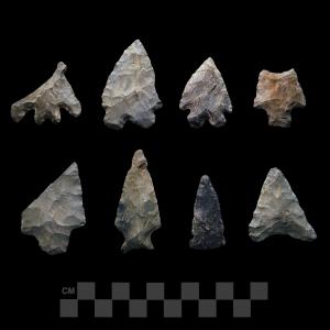 Projectile Points from the McVaugh Collection