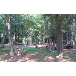 Introduction to Work at the Million Dollar Beach Site
