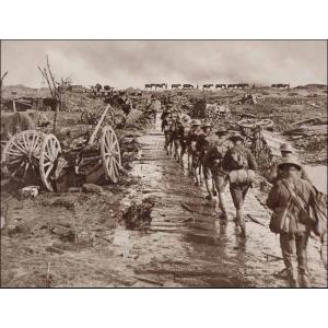 Orange County Historian's WWI Centennial Tour of Belgium and France Deadline March 1
