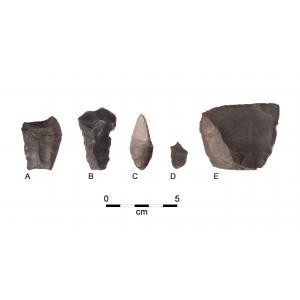 Owlville Pine South (OPS) Archaeological Site Owners Donate Paleoindian Artifacts to NYSM
