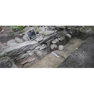 NYSM Archaeologist Featured in the Times Union for Research Identifying 19th-Century African American Farms