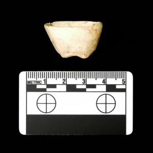 Science Tuesday: The Power of a Closer Look - Unearthing Personal Possessions of Enslaved African Americans
