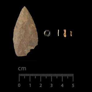 Exploring African American Contexts in New York Archaeology