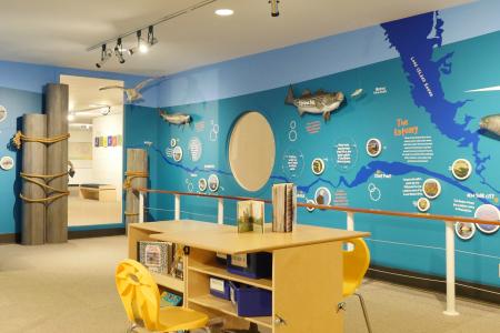 Ocean museum display 