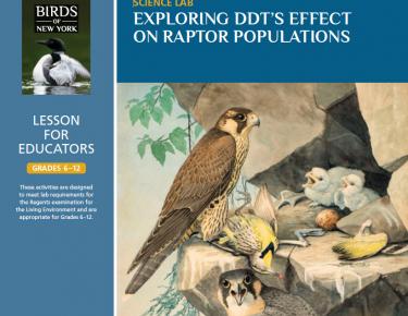 Exploring DDT’s Effect On Raptor Populations - Teacher Guide