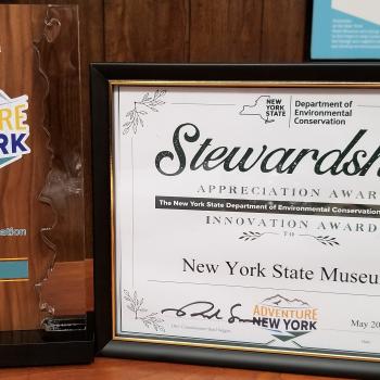 2020 Stewardship Award in Innovation