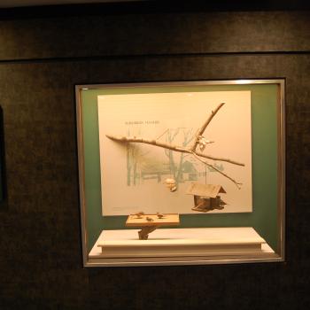 Bird Hall - Original Gallery View