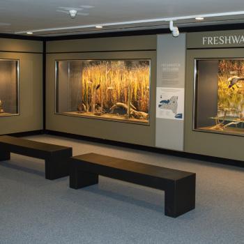 Bird Hall - Freshwater Wetlands