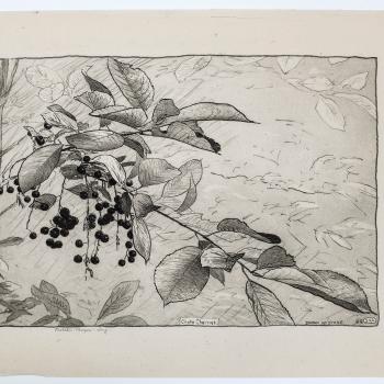 Choke Cherries by Bolton Brown, 1920