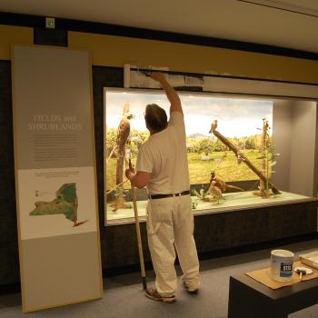 Bird Hall Gallery Renovations