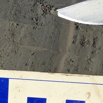 Close up of organic remains