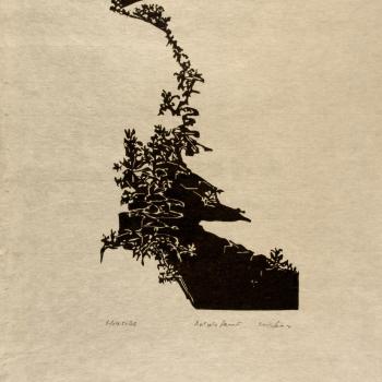 Hillside