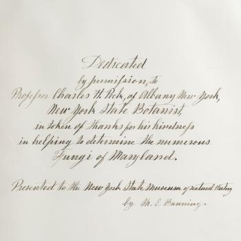 Elegant, handwritten text in cursive on a white background