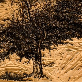 Original Block for Tree
