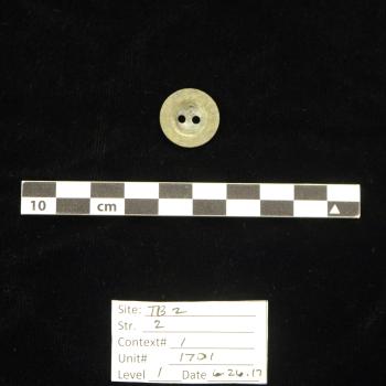 Several shell buttons were also recovered from the Ten Broeck Mansion outer kitchen excavation; this one shown has two holes