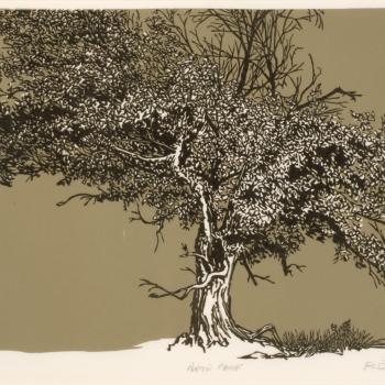 Untitled (Tree)