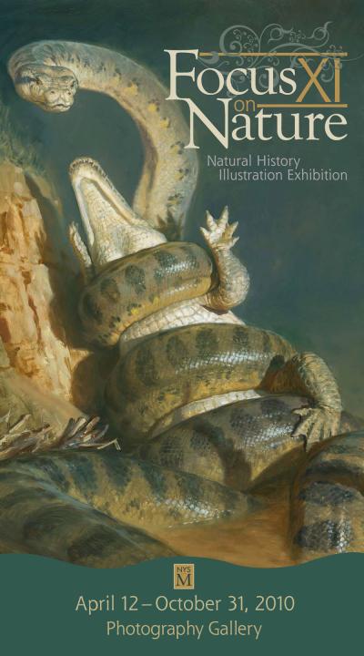 snake wrapped around alligator illustration