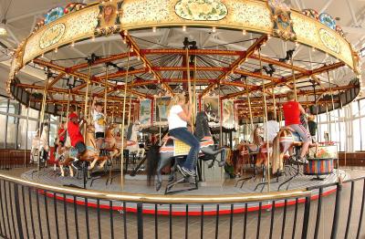 Museum Carousel 