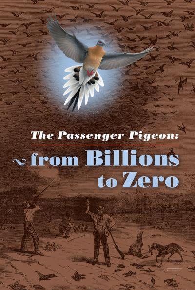 The Passenger Pigeon exhibition graphic