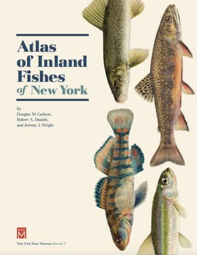 Fish Atlas Database  The New York State Museum