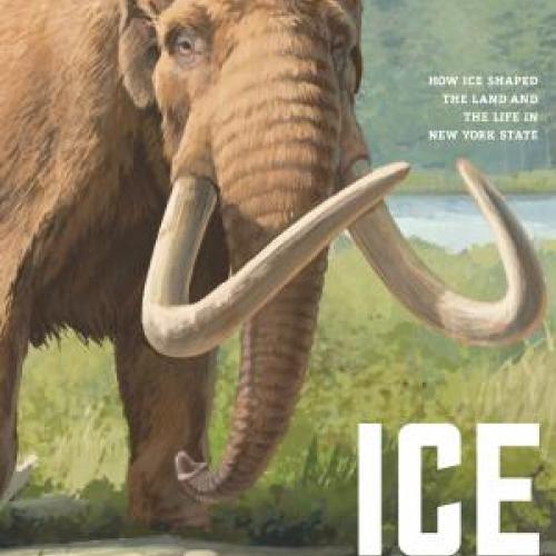 Current Lobby Slides