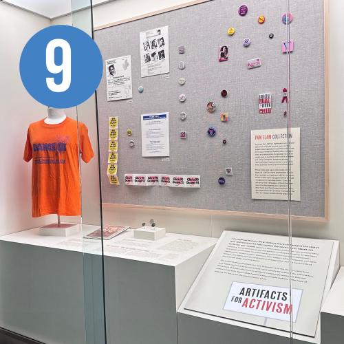 gallery view of pride-related political items