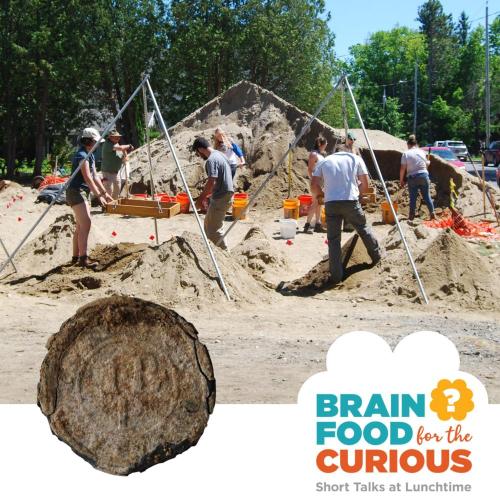 photo of an archaeological site